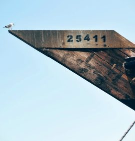 LearnOnline Self-study Mathematics A level Angular building or ship with seagull on the top