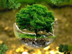 LearnOnline Self-study IGCSE Biology - tree growing in a cracked glass globe floating with forest background