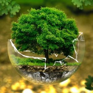LearnOnline Self-study IGCSE Biology - tree growing in a cracked glass globe floating with forest background