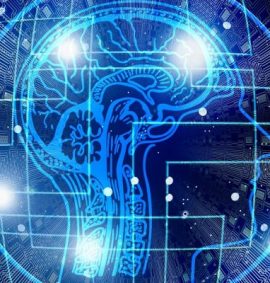 LearnOnline Self-study IGCSE Computer Science - computer chip type image with outline of head and brain