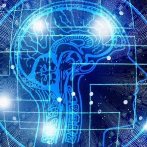 LearnOnline Self-study IGCSE Computer Science - computer chip type image with outline of head and brain