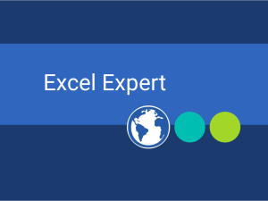 Microsoft Office Excel Expert Business Training courses