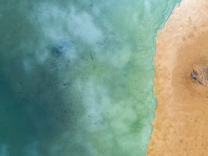 LearnOnline Fast Track Geography A level Self-study Sea and sand