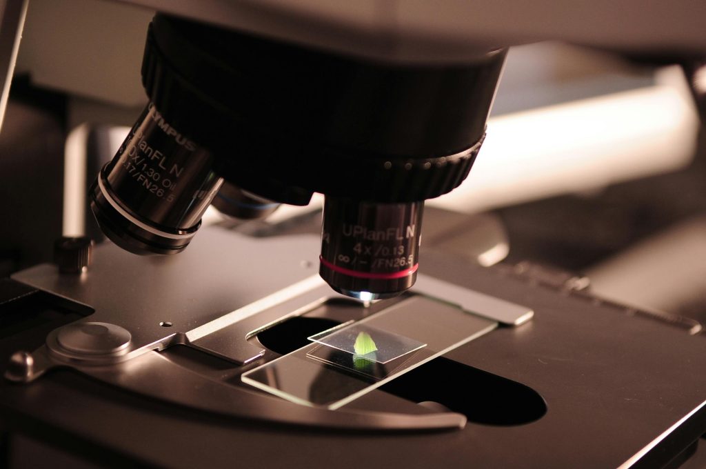 The STEM Package: leaf on microscope