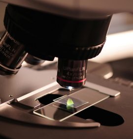 The STEM Package: leaf on microscope