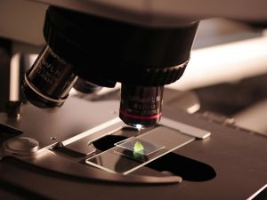 The STEM Package: leaf on microscope