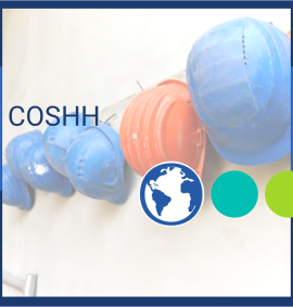 Health & Safety_COSHH
