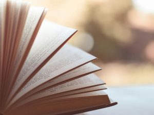 The English Package: open book, fanned pages