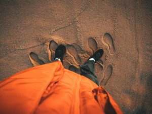 The Humanities Package: footprints in the sand